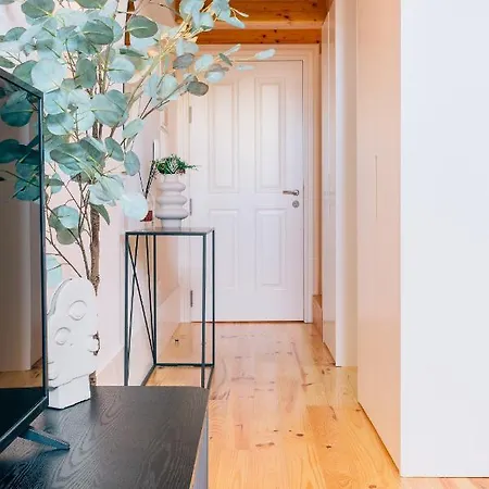 Orm - Cedofeita I * 波尔图